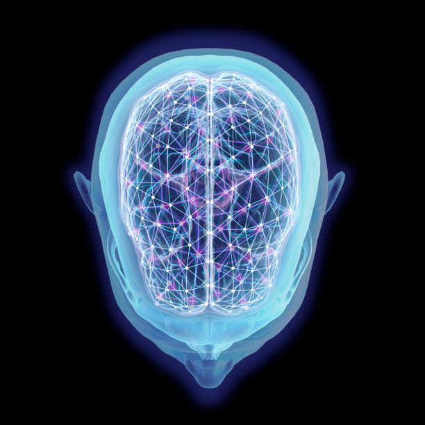 istock Top View of Human Brain Cerebrum with Network Nodes on Black 1179640188