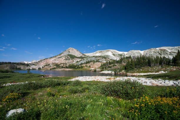istock Sugarloaf mountain, Wyoming 1179640365