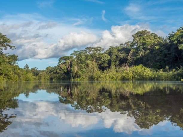 amazonas - photo album photo corner photography photograph stock-fotos und bilder