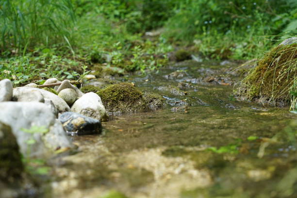 A detailed close-up of a stream flowing over moss-covered rocks, creating a small splash as the water rushes around natural formations. The crystal-clear water reveals the earthy tones of the riverbed, capturing the beauty of a pristine freshwater ecosystem. Perfect for nature photography, relaxation themes, and environmental conservation visuals.