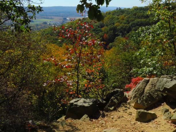 istock Fall Autumn season, orange and red 1179641203