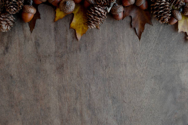 istock Great autumn coposition for large space for text or another design on brown wooden surface. 1179642265