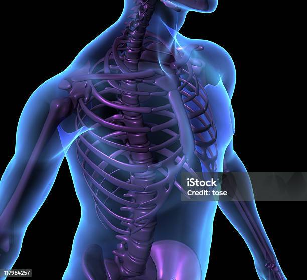 Xray Illustrazione Di Uomo Corpo Umano Scheletro Rendering 3d - Fotografie stock e altre immagini di Anatomia umana