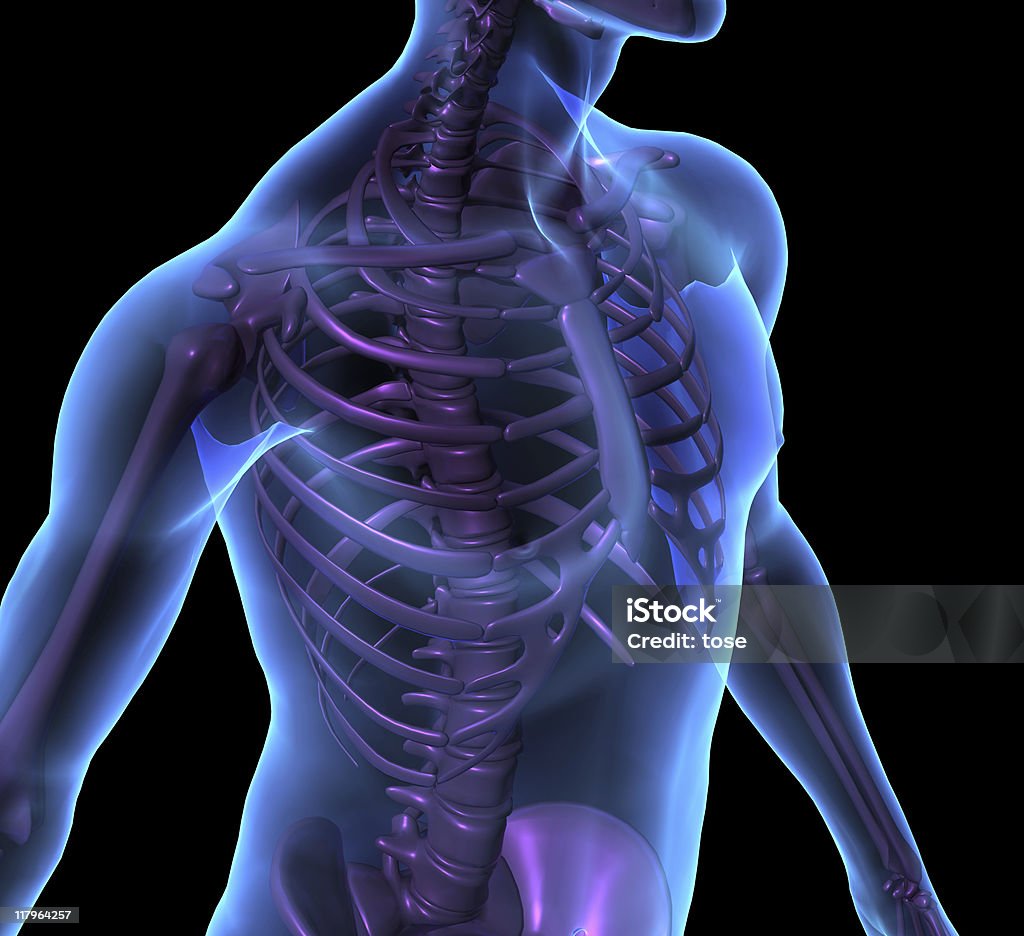 X-ray Ilustracja przedstawiająca mężczyzna Ludzki Szkielet ciała. 3 D renderowania. - Zbiór zdjęć royalty-free (Anatomia człowieka)