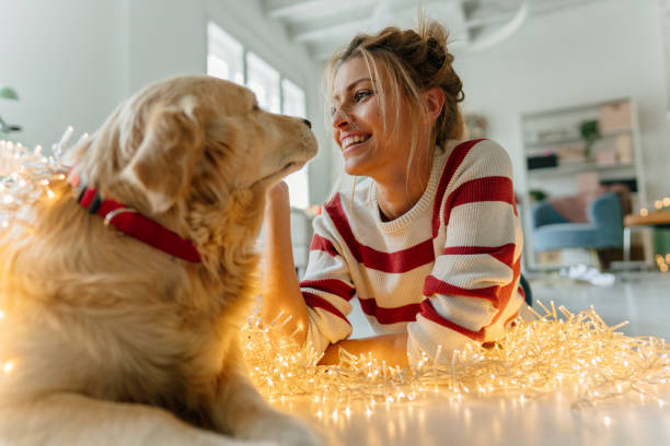 istock Special moments with a pet 1179643683