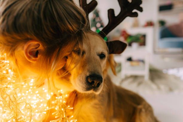 Photo of young woman and her pet enjoying together at home on a Christmas day