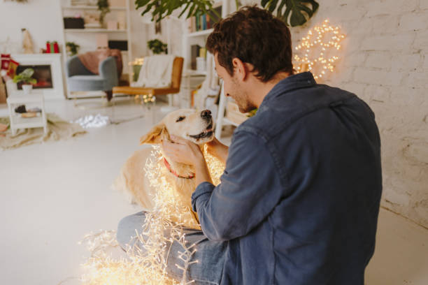 istock Christmas in our home 1179643694