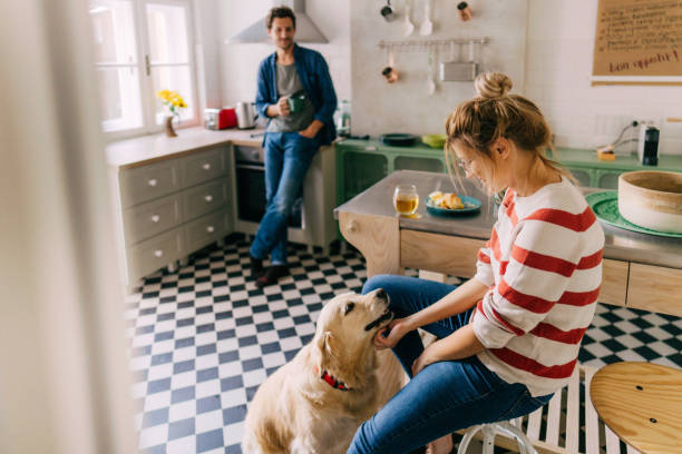 manhã na cozinha com nosso cão - home interior young adult house couple - fotografias e filmes do acervo