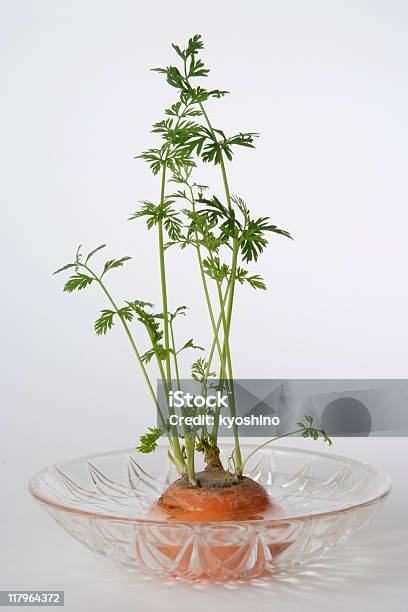 Isolated Shot Of Carrot Top On White Background Stock Photo - Download Image Now - Carrot Top - Vegetable Part, Growth, Cut Out