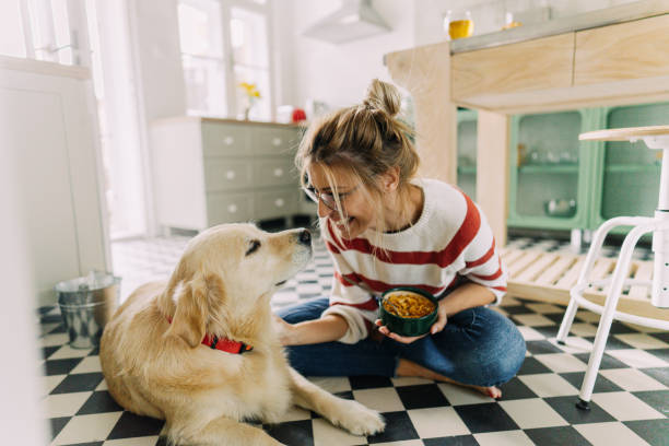 istock Morning with my pet in our kitchen 1179643732