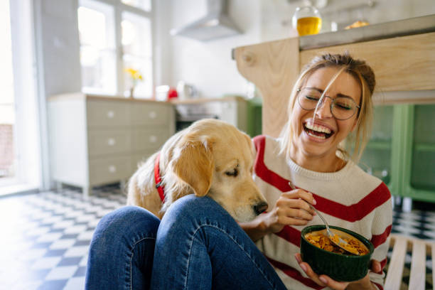 Morning with my pet in our kitchen Photo of young woman and her dog in a kitchen at the morning one animal stock pictures, royalty-free photos & images