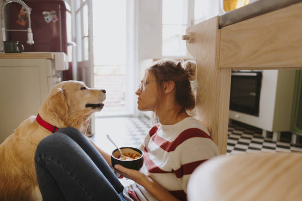 istock Morning with my pet in our kitchen 1179643753