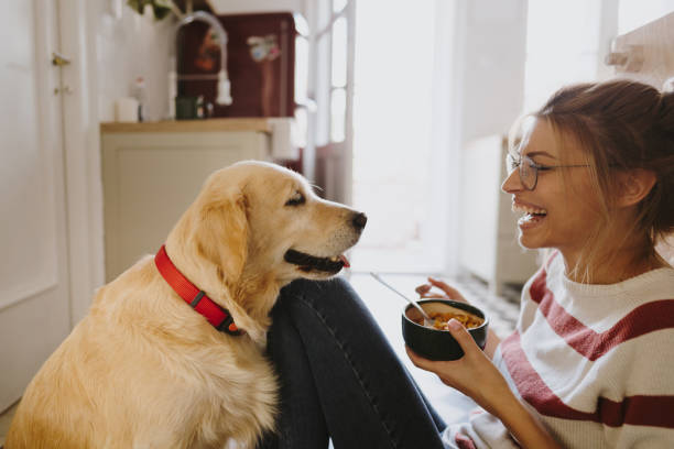 istock Morning with my pet in our kitchen 1179643773