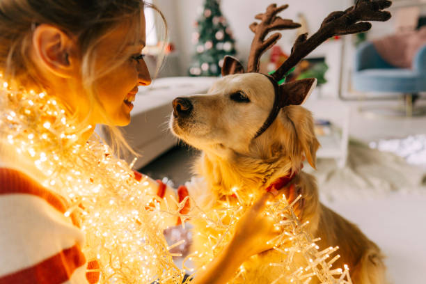 istock Christmas day with my dog 1179643782
