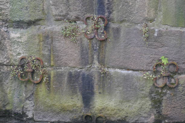 istock Wall anchor in an old Wall along the water. 1179646457