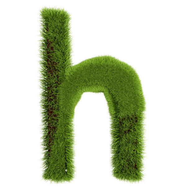 istock Green Grass Letter H isolated On White Background. Font For Your Design. 3D Illustration 1179647809