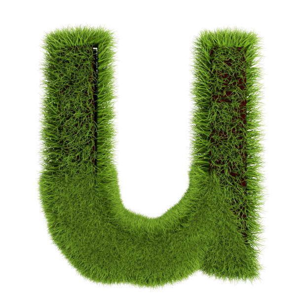 Green Grass Letter U isolated On White Background. Font For Your Design. 3D Illustration
