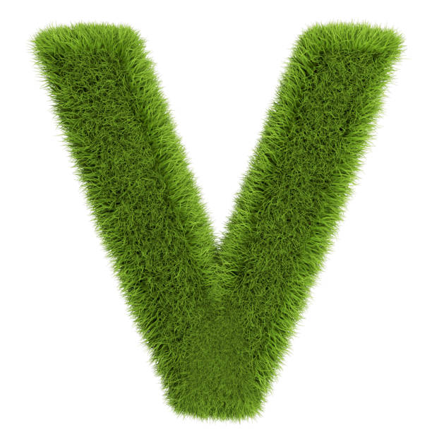 istock Green Grass Letter V isolated On White Background. Font For Your Design. 3D Illustration 1179648467
