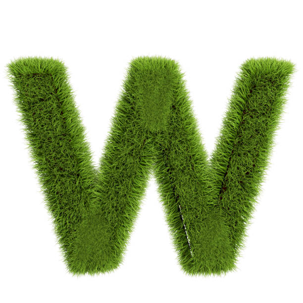 istock Green Grass Letter W isolated On White Background. Font For Your Design. 3D Illustration 1179648475