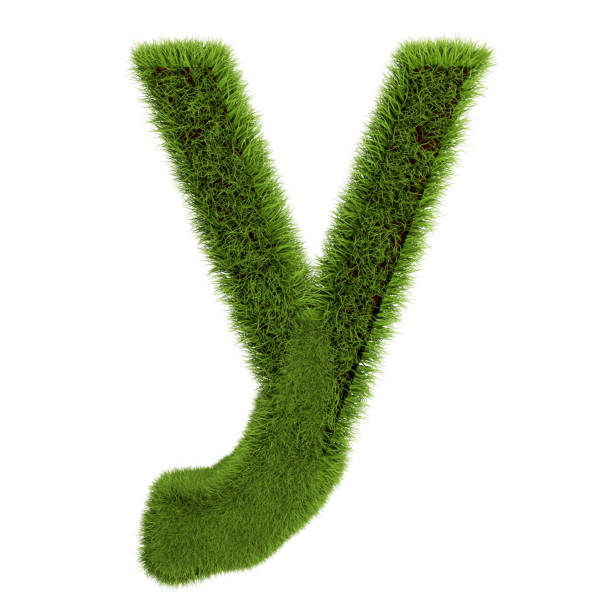 緑の草の文字yは、白い背景に隔離されています。デザイン用のフォント。3dイラストレーション - letter y alphabet three dimensional shape green ストックフォトと画像