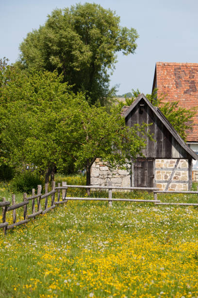 Damaged, weathered, partly ruined, overgrown wooden house in abandoned village
