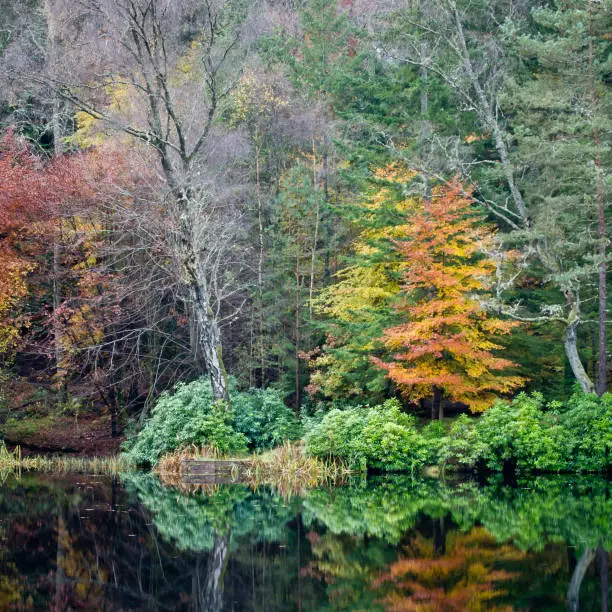 Autumn colours from Loch Faskally in Scotland