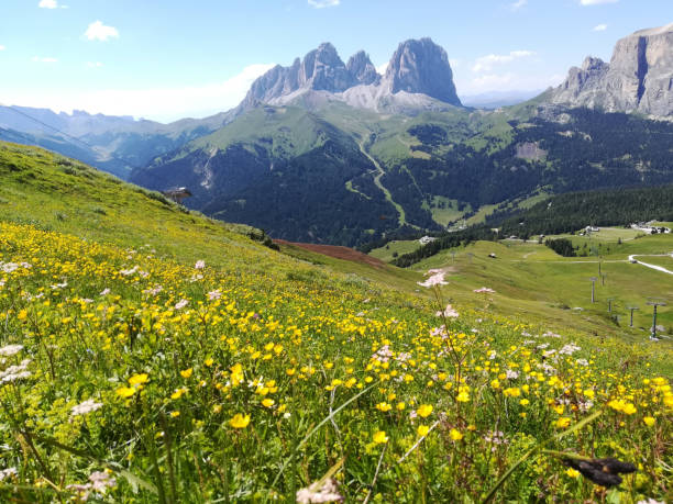istock panorama view of Dolomiti 1179651403