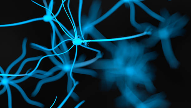 istock Neural Cell. Synapse and neuron cells sending electrical chemical signals 1179653697