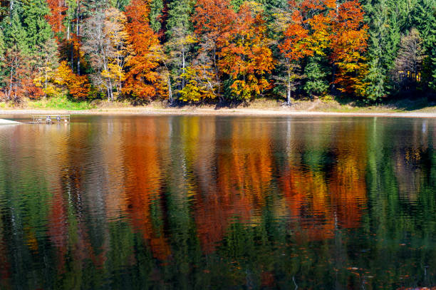 istock Perfect autumn tree reflections in lake 1179653989