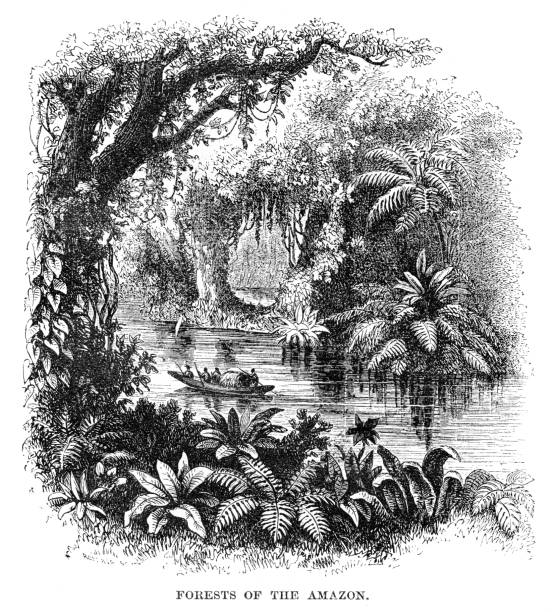 Amazon River Coloring Page