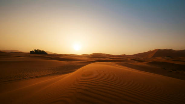 istock Beautiful sunset in the desert 1179655402