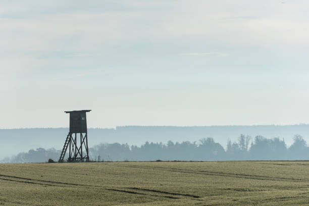 high seat in a autumn landscape in front of foggy sky