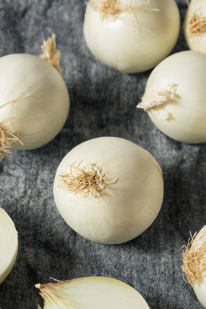 istock Organic White Sweet Onions 1179657914