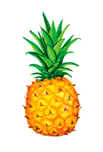Pineapple icon. Tropical exotic fruit shape pattern. Pineapple hand drawn watercolor vector graphics