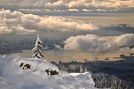 Winter scenery in Mount Seymour Provicical Park. View of Vancouver downtown and Coal Harbour in winter. British Columbia. Canada