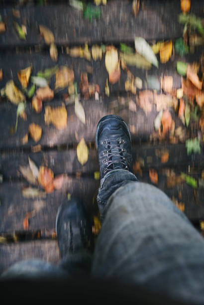 closeup of hiking boots in autumn woods stock photo