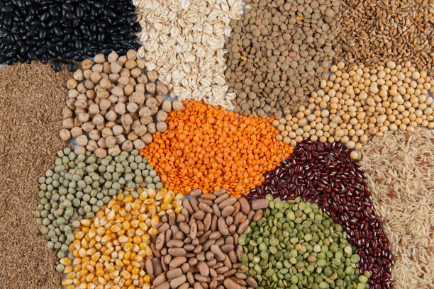 istock Big collection of different cereals and edible seeds. 1179665157