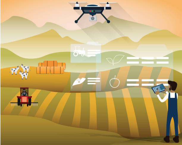 istock Flat design of smart farm concept,Farmer using drone watching plant in his farm,Agriculture technology, vector illustration 1179666446