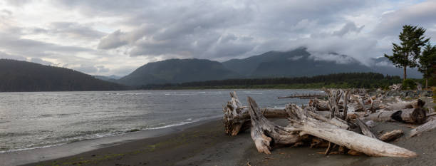 istock Port Renfrew, Vancouver Island 1179666596