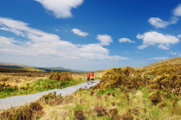 Connemara National Park, famous for bogs and heaths, watched over by its cone-shaped mountain, Diamond Hill, County Galway, Ireland Beautiful view of Connemara National Park, famous for bogs and heaths, watched over by its cone-shaped mountain, Diamond Hill, County Galway, Ireland connemara national park stock pictures, royalty-free photos & images