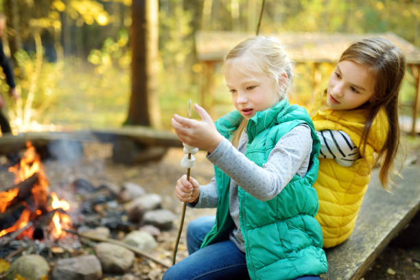 istock Cute young sisters roasting marshmallows on stick at bonfire. Children having fun at camp fire. Camping with children in fall forest. 1179667642