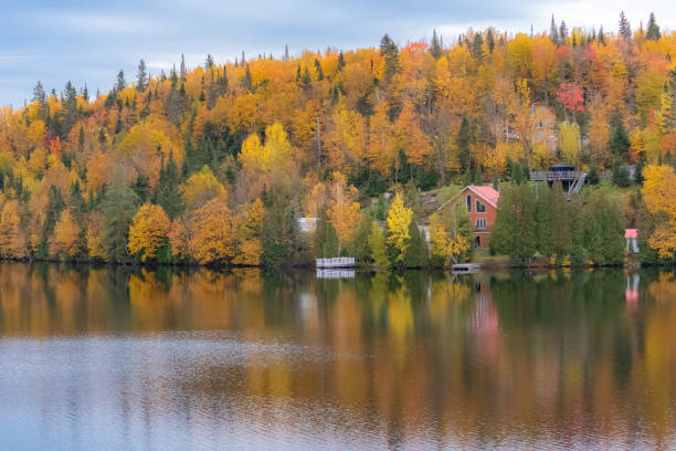 istock Cottage on the lake in Canada 1179668731