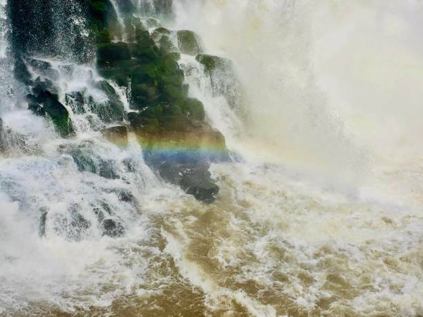 las cataratas del iguazú - iguacu falls argentina tropical rainforest rainbow fotografías e imágenes de stock