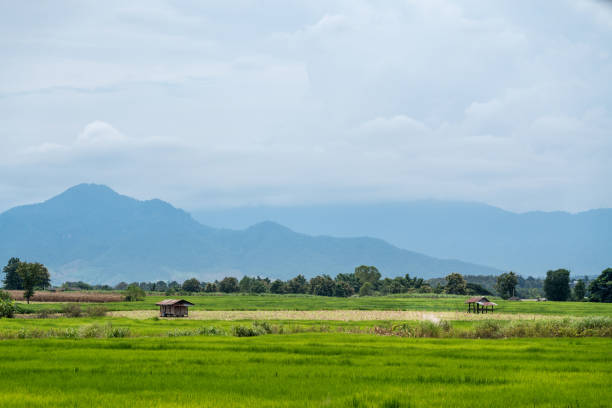 istock thai wooden house on the field 1179676061