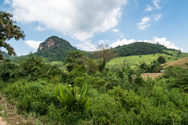istock thai landscape in the mountains 1179676094