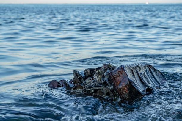 istock Old rusty engine lying among stones in the water 1179676323