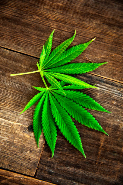 This is a stock photograph involving cannabis, marijuana and its implications in America has just slowly been legalized and used for medicinal and medical purposes and what that means to our economy and culture.