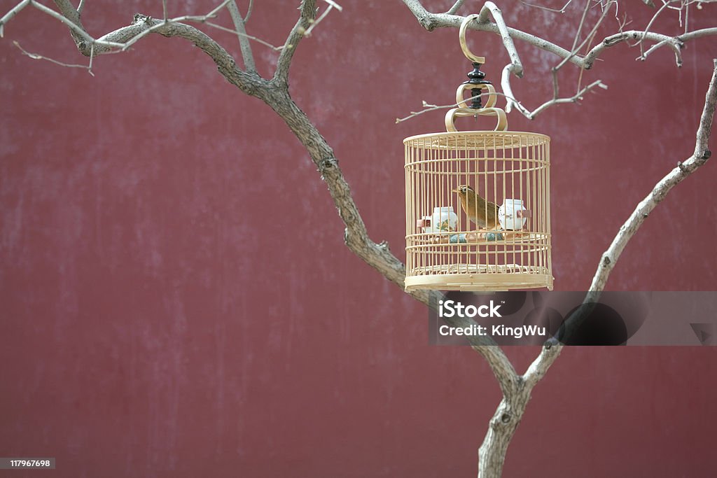 Jaula de pájaros - Foto de stock de Acorralado libre de derechos
