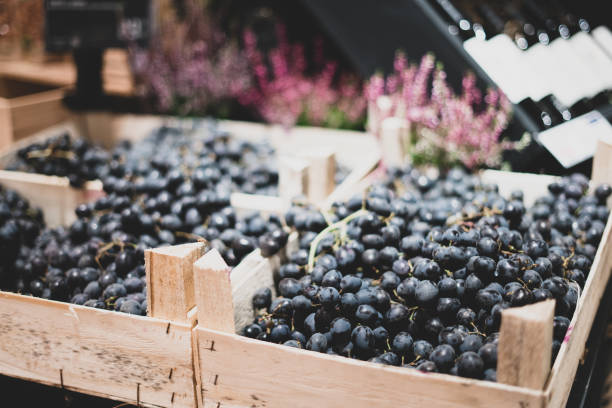 ciemne winogrona w drewnianym pudełku na kasie sklepowej. wino w tle. kreatywny handel, rozwiązania dekoracyjne. - wine bottle wine rustic liquor store zdjęcia i obrazy z banku zdjęć