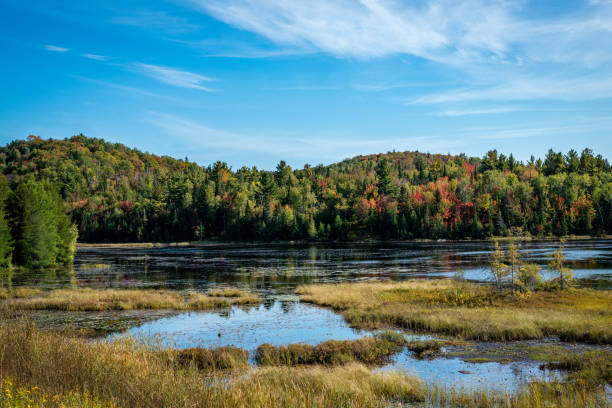istock Laurentians parks and wildlife reserves 1179683384